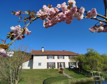 Vue de la maison depuis l'étang