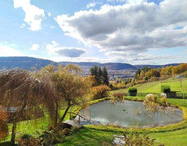 Vue sur l'étang et la vallée de Remiremont depuis chambre 6