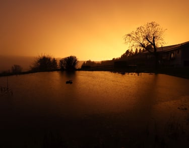 Etang avec coucher de soleil