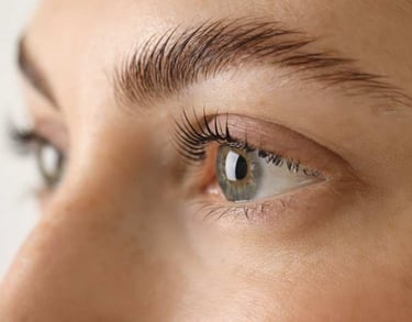 Nova - Wimpers & Wenkbrauwen