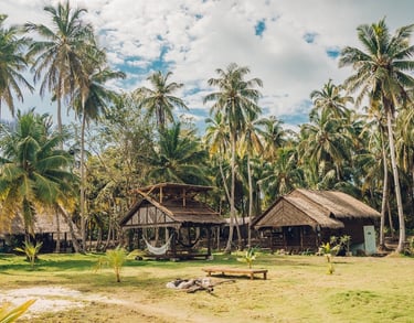 Private beachfront bungalows at Toska eco-resort surrounded by coconut palms