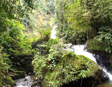 Corriente del río que conduce a la Cascada Alejandra