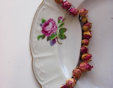 Divided ceramic plate as trauma