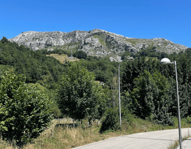 Casa Rural Salices 