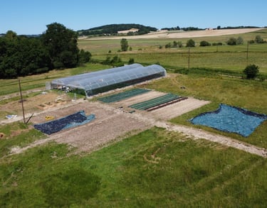 ferme d'épices locales