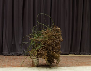 Hedy Leung’s ‘Ethnobotanic Resonance’ Ikebana performance at London Metropolitan University