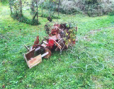 current situation ikebana performance at Crossbreeds Cracks Currents PF25 Dornach Extension Exhibition