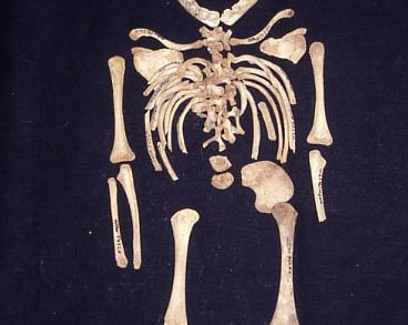 Infant from Castle Mall excavations, Norwich