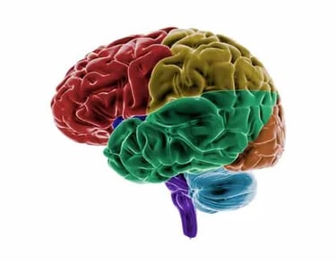 a brain scanplot of a brain scanplied brain scans