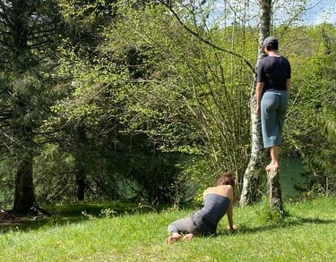 Et l'environnement (nature) - Life Art Process®