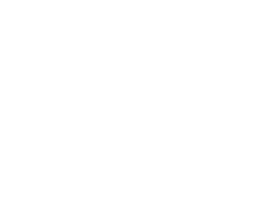 Logo de Detailing Avenue