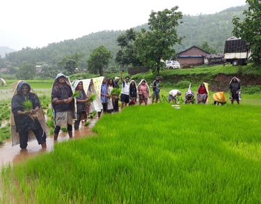 empowering regional communities and driving soil fertility