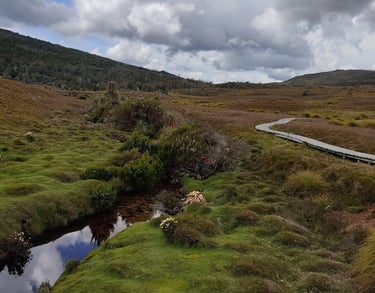 Cradle Mountain hike area landscape of wombats