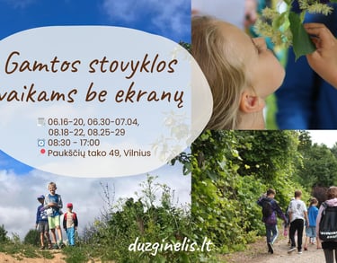 Vasaros stovykla vaikams