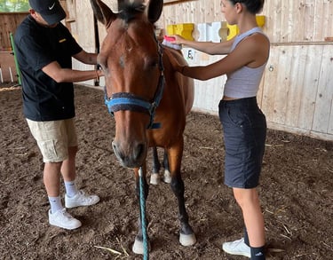 prise en charge collective - de couple