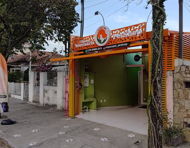 veterinario-no-jardim-sao-paulo