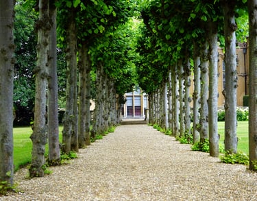 Obtenez les meilleures conditions pour votre crédit immobilier à Gien