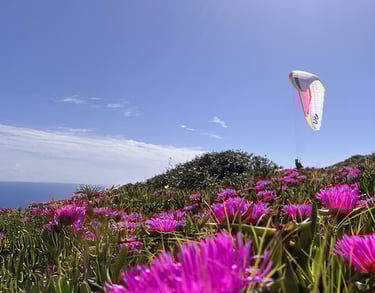 seaside paragliding pink gleitschirm fliegen shop