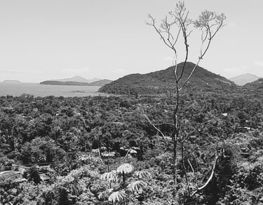 Itamambuca vista do alto pb