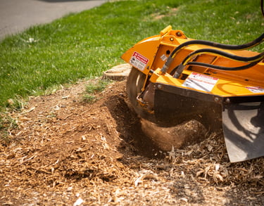 tree removal services in eden prairie mn