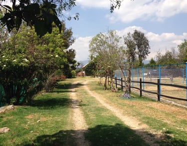 Pet Lovers Criadero Instalaciones Campestres en Cajicá