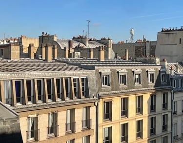 Vue sur des toits d'immeubles parisiens