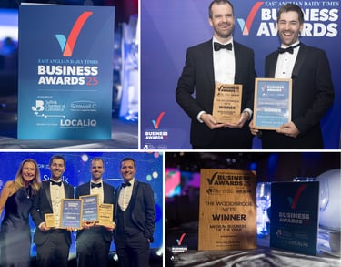 Medium Business of the Year EADT Business Awards The Woodbridge Vets - Reason Marketing Marketing Consultant