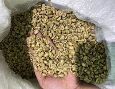 Green Bean Robusta Temanggung