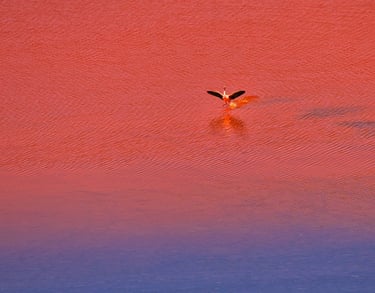 Uyuni & Coipasa Salt Flats Photography Tour Sajama & Potosí Mines 12 Days