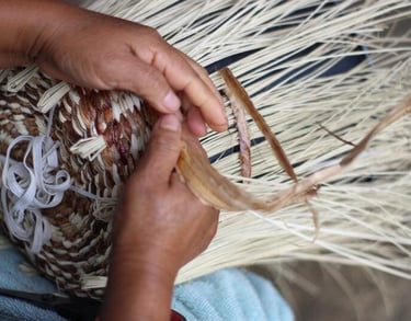 Persona tejiendo canasta con fibras naturales