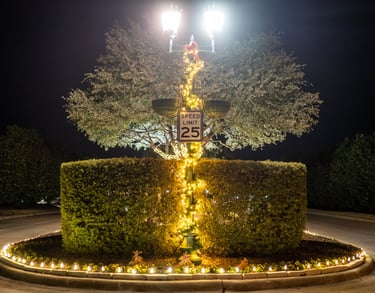 Illuminated Christmas lights on a street lamp and hedges in a traffic roundabout at night.