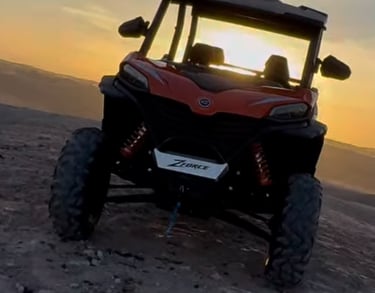 Trip on buggy in Marrakech