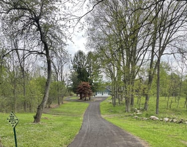 gravel driveway in the woods
