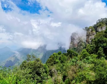 Pillar Rocks Kodaikanal Tamil Nadu
