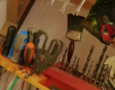 My workshop.