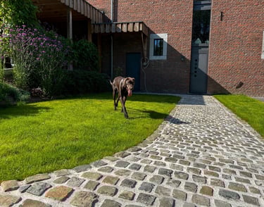 allée pavé ancien ferme