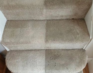 nettoyage de moquette injecteur extracteur shampouineuse angers