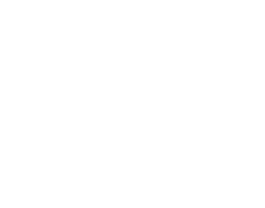 Logo MG Real Estate & Investments