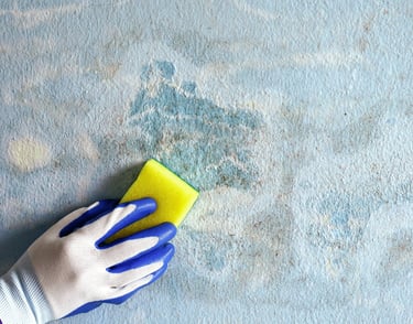 Eco-friendly non-toxic paints used for sustainable painting in UAE