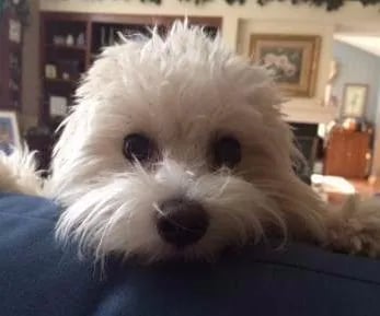 malitpoo-7-months