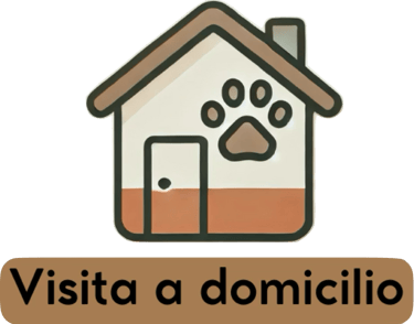 Consulta veterinaria a domicilio en Alicante para perros, gatos y animales exóticos