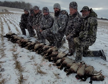 Saskatchewan waterfowl hunts - fast limit duck hunt after the whitetail hunt
