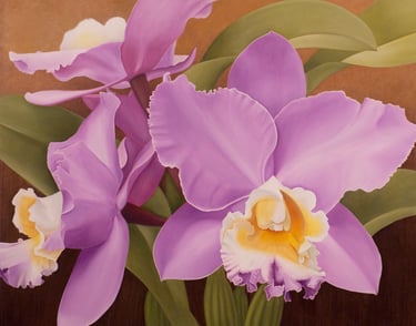 Purple Cattleya Blooms