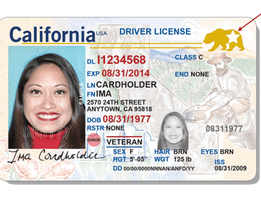 a woman's driver's license