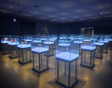 Jeongnimsaji Museum display cases