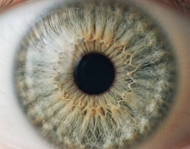 Macro photograph of a human iris showing detailed fibers and patterns, soft natural morning light, muted sage green and warm sand tones, shallow depth of field, 35mm