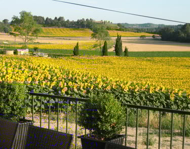 Un petit aperçu de la magnifique vue dominante à 180° depuis la terrasse nord