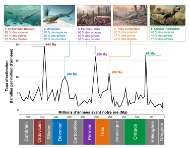 Les 5 grandes extinctions massives de la vie lors des 500 derniers millions d'années