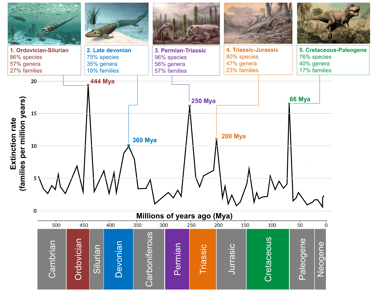 The Big Five mass extinctions of life in the last 500 million years