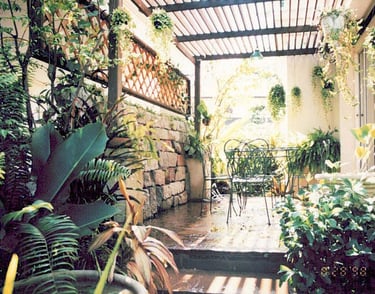 New house gardens: all soil, plants, sculptures, terraces built up from a clay base.